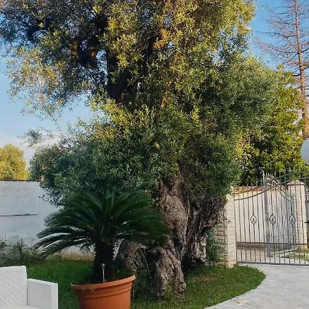 Gli Ulivi Vacanze 오스투니