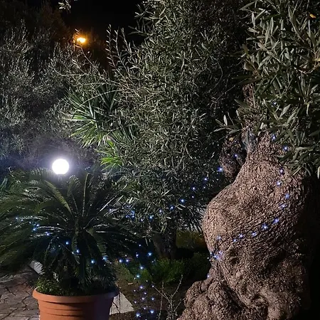 Gli Ulivi Vacanze