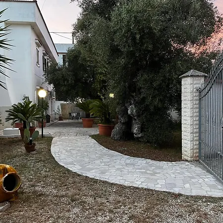 Gli Ulivi Vacanze